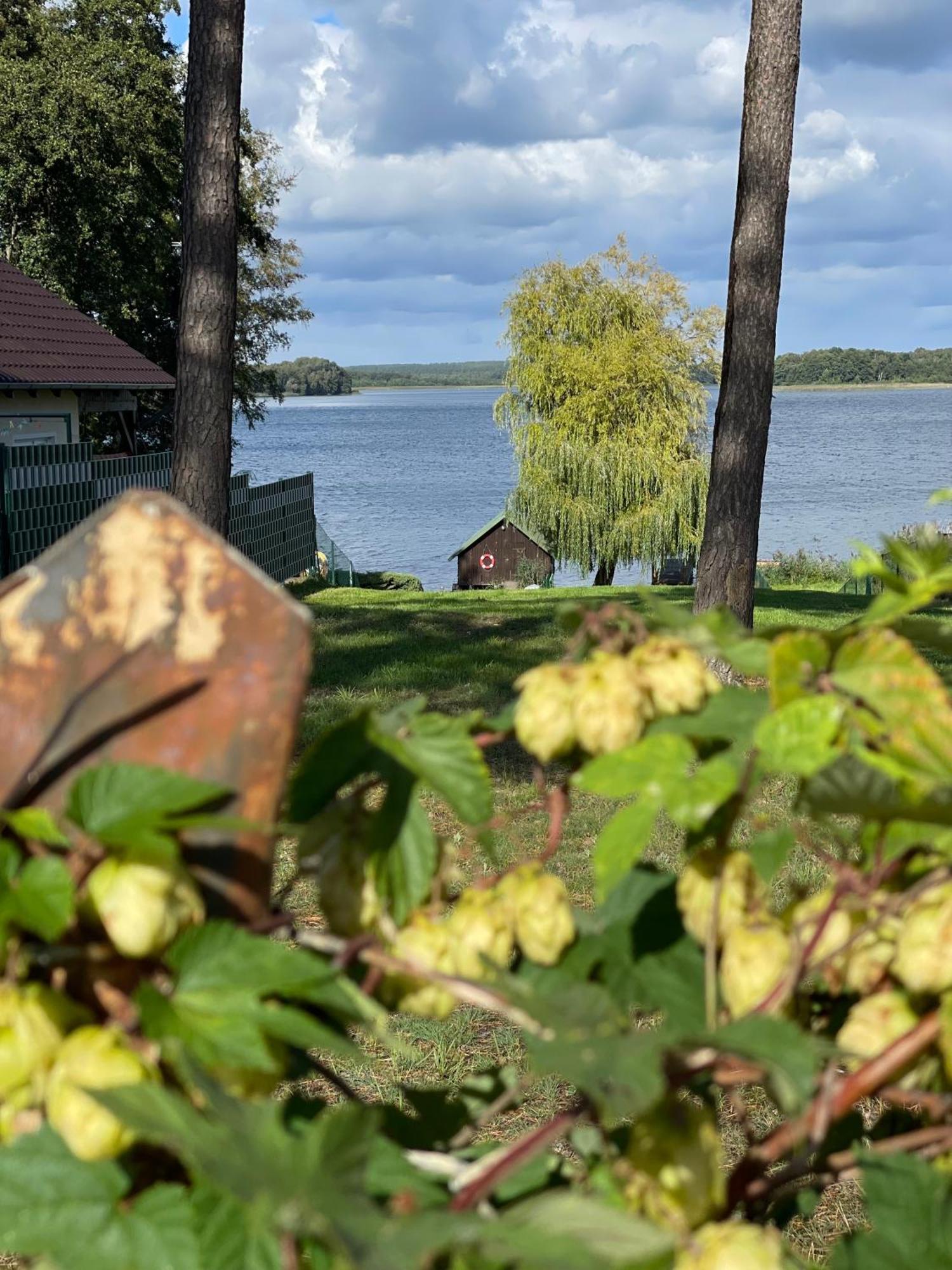 Urlaub Am Plaetlinsee - Haus Odin Wustrow  Ngoại thất bức ảnh
