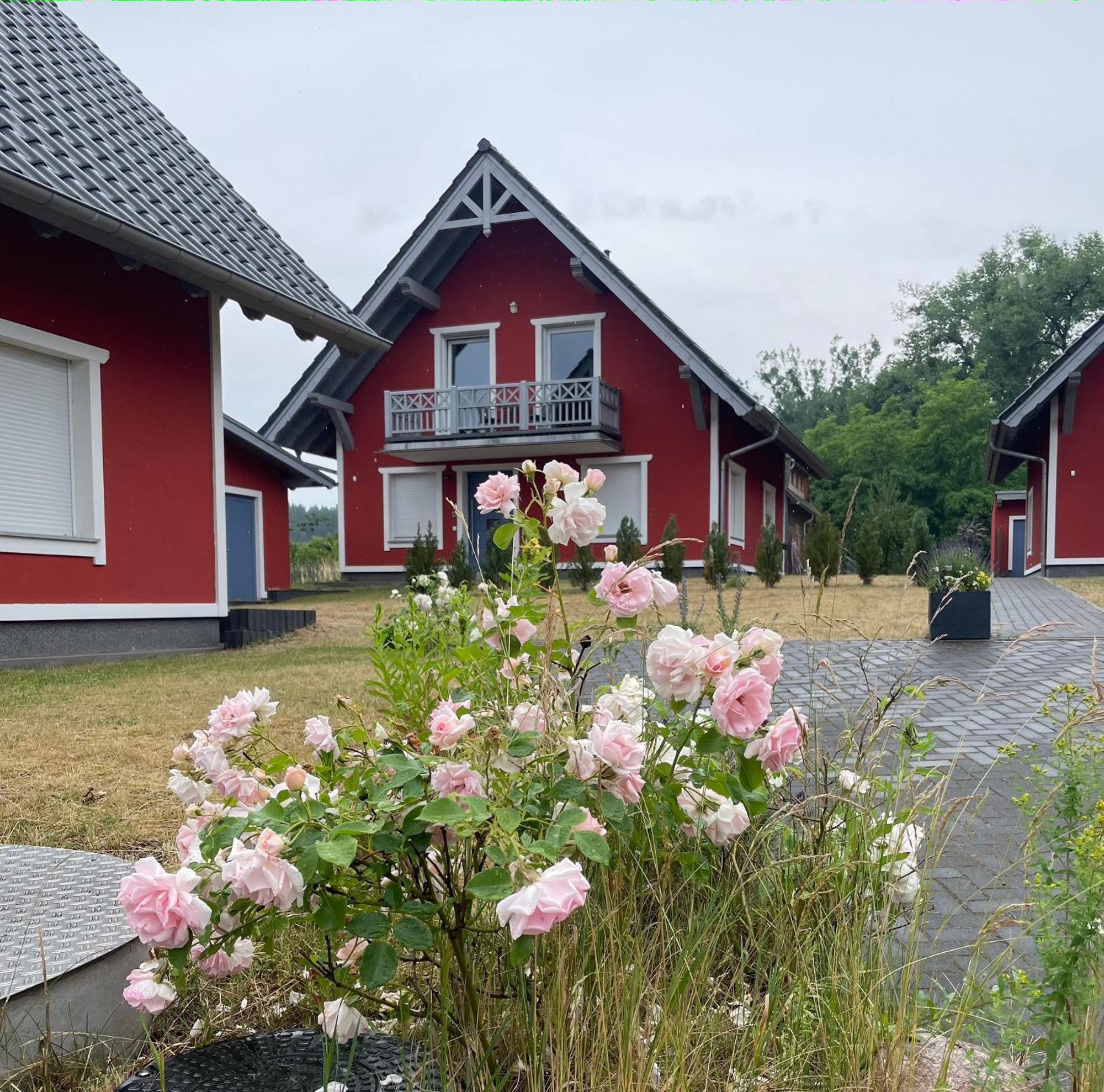 Urlaub Am Plaetlinsee - Haus Odin Wustrow  Ngoại thất bức ảnh